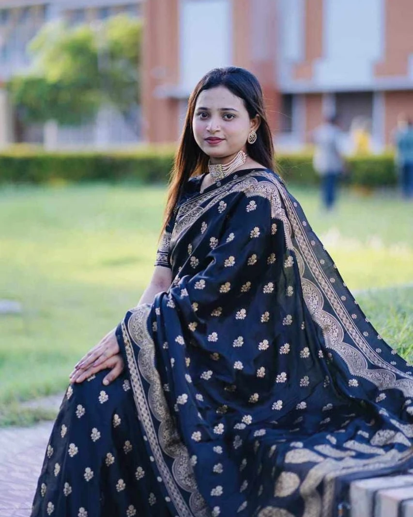 Onyx Gold Banarasi Silk Saree