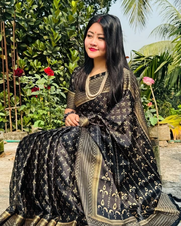 Midnight Onyx Heritage Saree