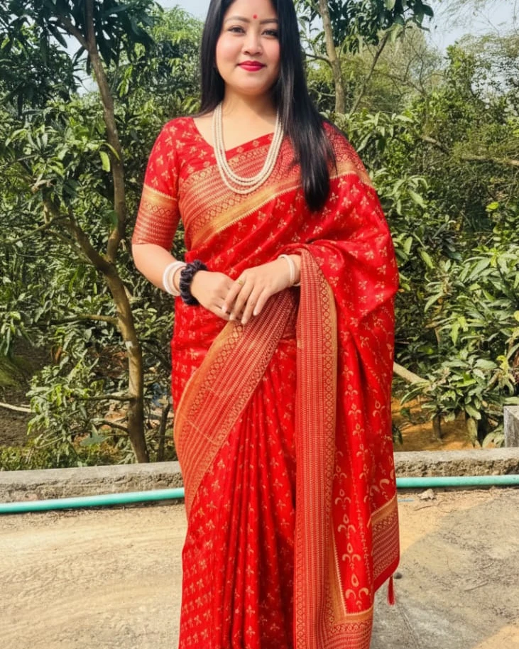 Scarlet Heritage Silk Saree