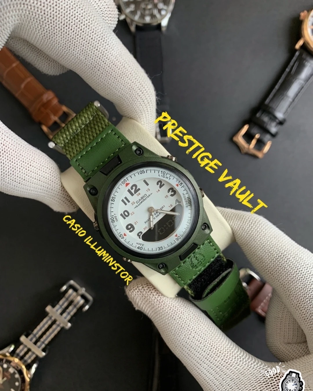 CASIO ILLUMINTOR -Olivs Green