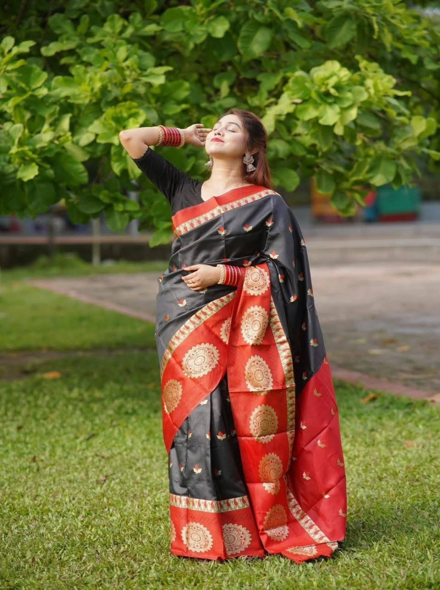 Traditional Indian Silk Saree