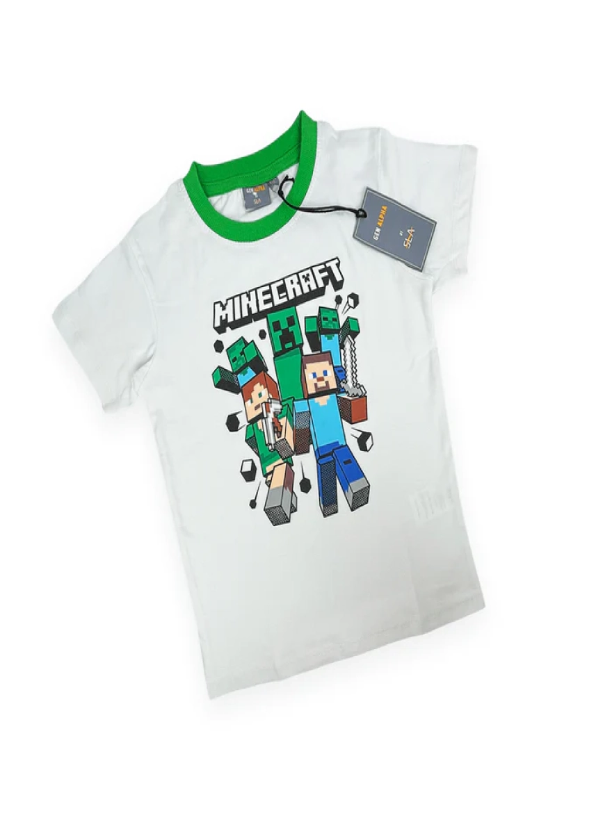 Minecraft Casual Wear Set