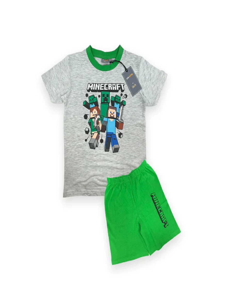 Minecraft Casual Wear Set