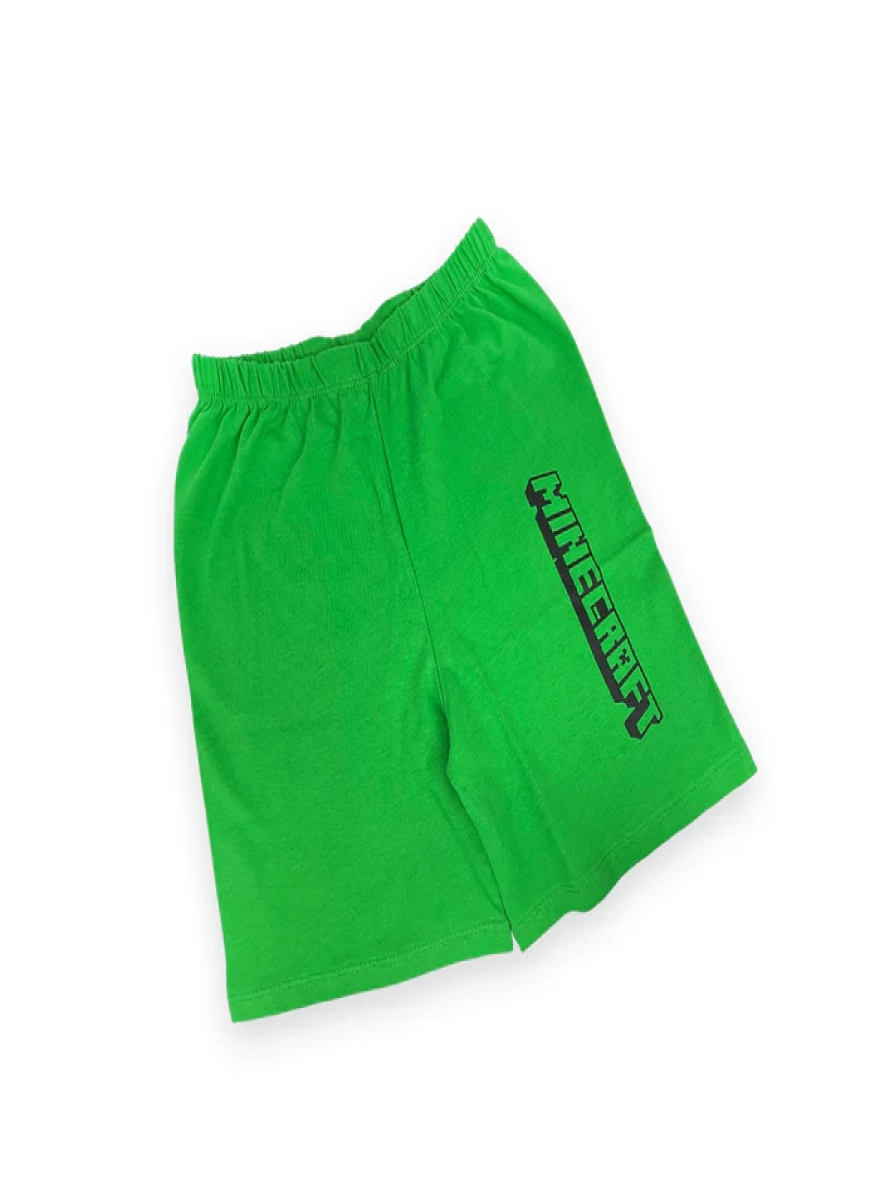 Minecraft Casual Wear Set