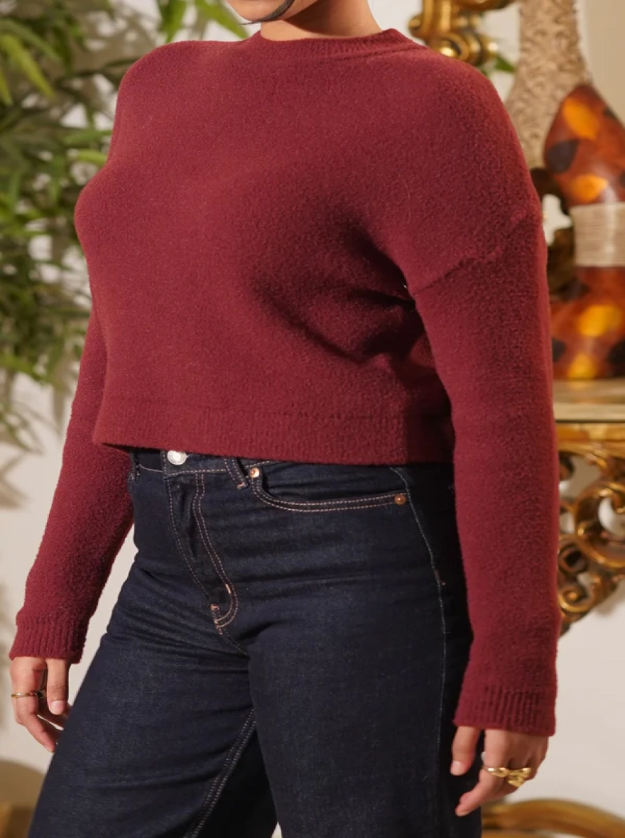 Bordeaux Cropped Textured Mock Neck Sweater