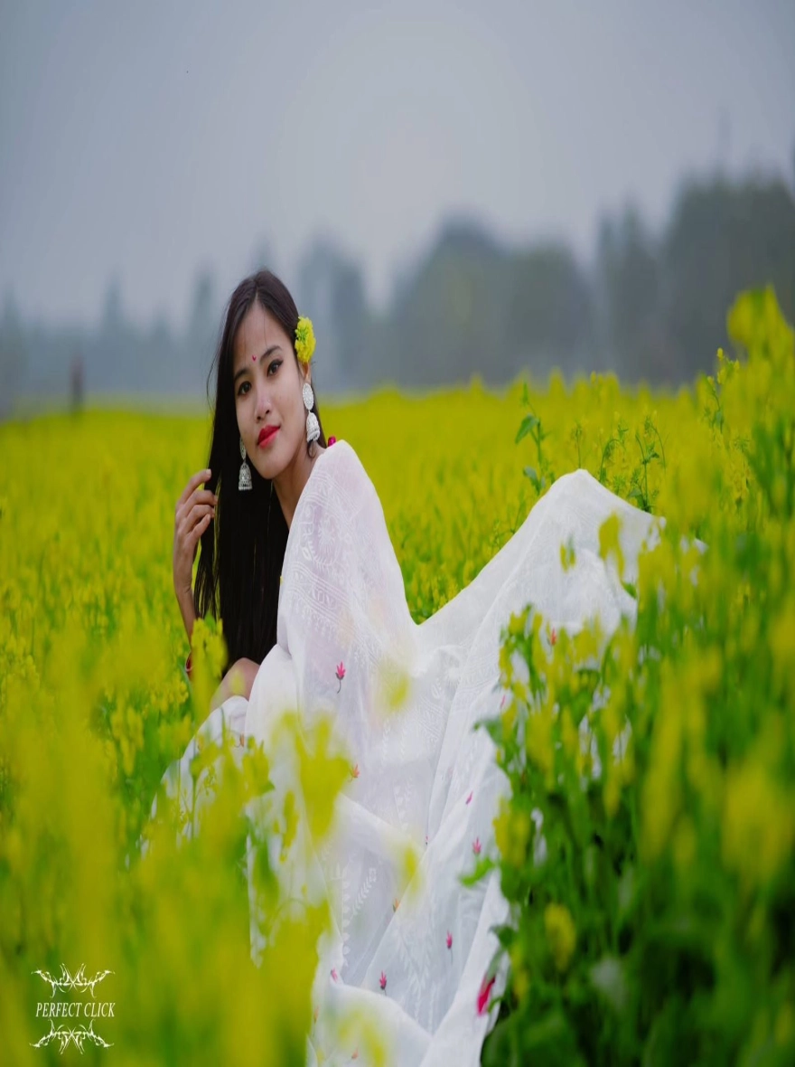 Women's Afsan Print Half Silk White Saree