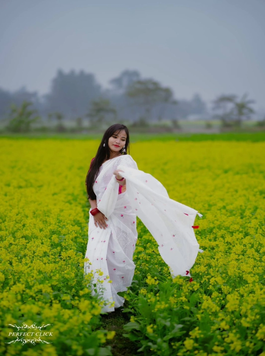 Women's Afsan Print Half Silk White Saree