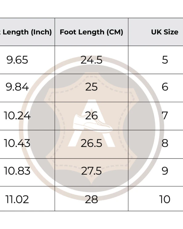 Men’s Premium Casual shoes (22)
