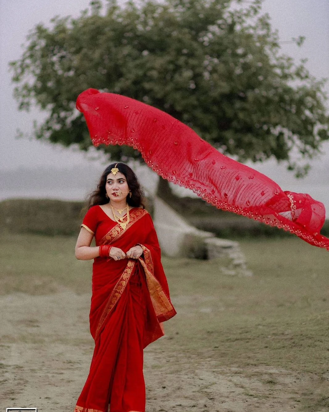 Women's Exclusive Half Silk Nakshi Paar Saree